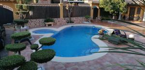CobisaChalet con encanto的一座小游泳池,位于种有树木的庭院内