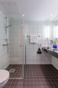 赫尔辛堡赫尔辛堡大都会丽笙酒店的带淋浴、卫生间和盥洗盆的浴室