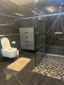 MurgEra Home Deluxe的一间带卫生间和玻璃淋浴间的浴室