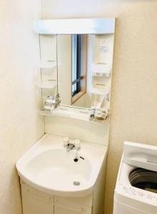 KokubunjiMarvelous Kokubunji - Vacation STAY 80468v的一间带水槽和镜子的浴室以及一台洗衣机