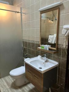 泰布克شموع المروج للوحدات الفندقية的一间带水槽、卫生间和镜子的浴室