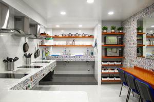 墨西哥城La Casa Azul (Zona de Hospitales)的一个带柜台和水槽的大厨房
