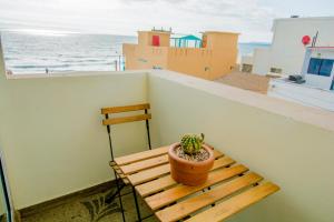 提华纳Steps to the beach ocean view balcony的一只仙人掌坐在阳台上的木凳上