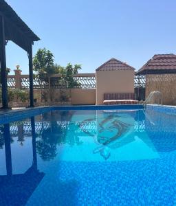 吉布提Haramous Guest House的度假村内的一个蓝色海水游泳池