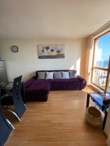 埃勒尼特Sea view apartment in Sveti Vlas的客厅配有紫色沙发和桌子