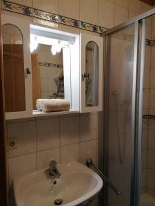 哈莱恩Haus Obweg - Postalm的一间带水槽、淋浴和镜子的浴室