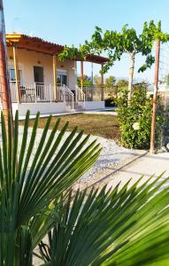 卡拉马基Ilios - country house的房屋前的棕榈树