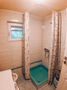 KakanjVilla Katharina的设有带绿色浴缸的淋浴的浴室