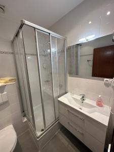 雷姆沙伊德Hotel Restaurant Fischer的带淋浴、盥洗盆和卫生间的浴室