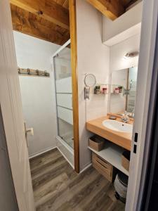 热德尔ZAGALA LA MAISON DE LA MONTAGNE的一间带水槽和镜子的浴室