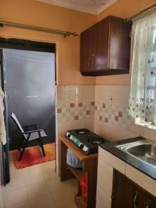 纳库鲁G&G Homes Naka Nakuru的厨房配有炉灶、水槽和门