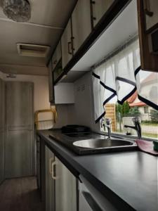 韦巴德莱克雷巴酒店的一个带水槽和窗户的小厨房