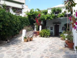CarcabueyLa Posada Amena的种有盆栽植物的庭院和一座建筑