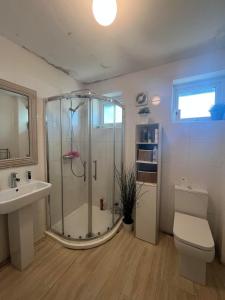 曼彻斯特Cozy Room near City Centre的带淋浴、卫生间和盥洗盆的浴室