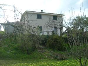 索尔索Villa Tirso的院子中间的白色房子