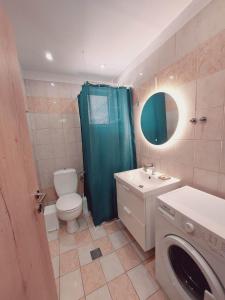 依克希亚Emerald home的浴室配有卫生间、盥洗盆和洗衣机。