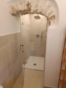 维科德尔加尔加诺Arcaroli Borgo Vico "Exclusive"的浴室里设有玻璃门淋浴