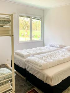 玛丽安娜隆德Hässlebogården Turist & Konferens的一间卧室设有两张床和窗户。