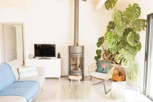 雷岛圣玛丽Maison 3 chambres plus 1 studio indépendant的客厅设有壁炉、电视和植物
