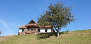 Păuleni-CiucHillside View Cottage - Csíksomlyó-panoráma vendégház的山顶上树屋