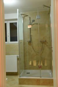 乌姆基希Kleines Ferienhaus in Umkirch的浴室里设有玻璃门淋浴