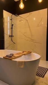 莫尔莱N9 APPARTEMENT DE CHARME **** MORLAIX的带淋浴的浴室配有白色浴缸。