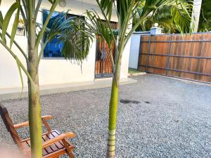 达累斯萨拉姆Tulivu House -2bedroom vacation home close to the beach的棕榈树和木椅,毗邻大楼