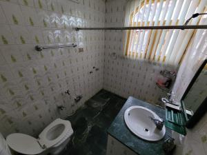 斯利那加Taha Inn Home comfort的一间带卫生间和水槽的浴室