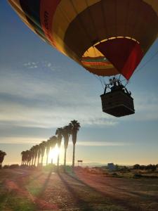 蒙萨拉什Convento da Orada - Monsaraz的飞过棕榈树的一排热气球