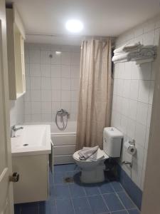 科斯镇布里斯托公寓式酒店的浴室配有卫生间、盥洗盆和淋浴。