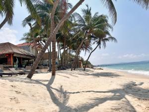 美奈太阳海度假酒店的棕榈树海滩,建筑和海洋