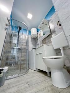 里耶卡Luxury Apartman ASIA Rijeka的带淋浴和卫生间的浴室