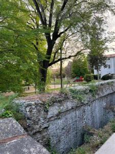 伊夫雷亚La Serra Olivetti的公园里一堵石墙,有树