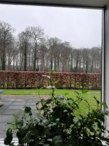 WilpKlein Eikelenkamp的享有公园树木和草地美景的窗户