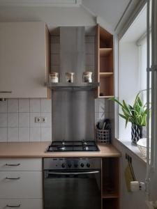 WilpKlein Eikelenkamp的厨房配有炉灶烤箱