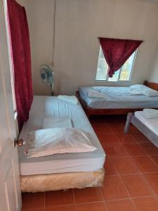 莫约加尔帕Guest House Nena的客房设有两张床和窗户。
