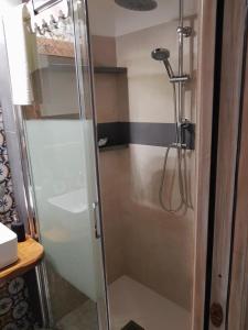 皮蒂利亚诺Il Girasole Storico的浴室里设有玻璃门淋浴