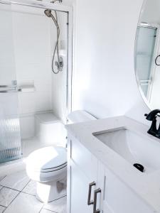 安克雷奇SunStar Alaska Bed and Breakfast LLC的一间带卫生间、水槽和镜子的浴室