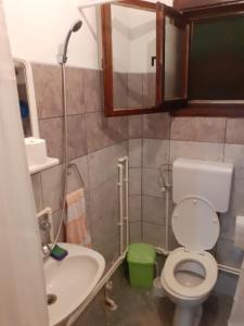 PožegaPantića avlija - Ethno household的一间带卫生间、水槽和镜子的浴室