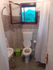 PožegaPantića avlija - Ethno household的一间带卫生间、水槽和窗户的浴室
