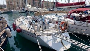 热那亚sailing Delfina的停靠在港口的一群船