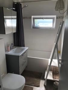 科克赛德Het Toeval的浴室配有卫生间、盥洗盆和淋浴。
