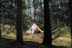 塞尔福斯Golden Circle Tents - Glamping Experience的森林中央的白色帐篷