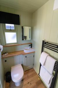 LlanfyllinThe Shire Luxury Converted Horse Lorry with private hot tub Cyfie Farm的一间带卫生间和水槽的浴室