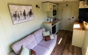 LlanfyllinThe Shire Luxury Converted Horse Lorry with private hot tub Cyfie Farm的一间带紫色沙发的客厅和一间厨房