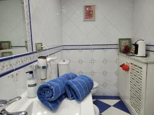 格拉纳达Privada Confort Granada的一间带水槽和蓝毛巾的浴室