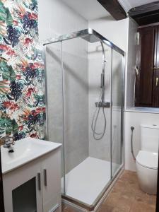 桑提亚纳德玛Apartamentos LLave de Santillana的带淋浴、水槽和卫生间的浴室