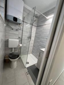 扎马迪Mira apartman的一间带卫生间和玻璃淋浴间的浴室