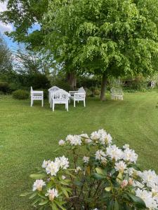 StenstrupDobbeltværelse i smuk palævilla的三个白长椅坐在树下草上