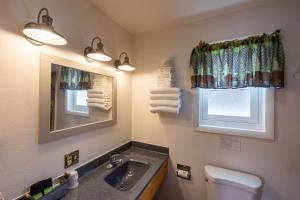 库克市Elk Horn Lodge的一间带水槽、镜子和卫生间的浴室